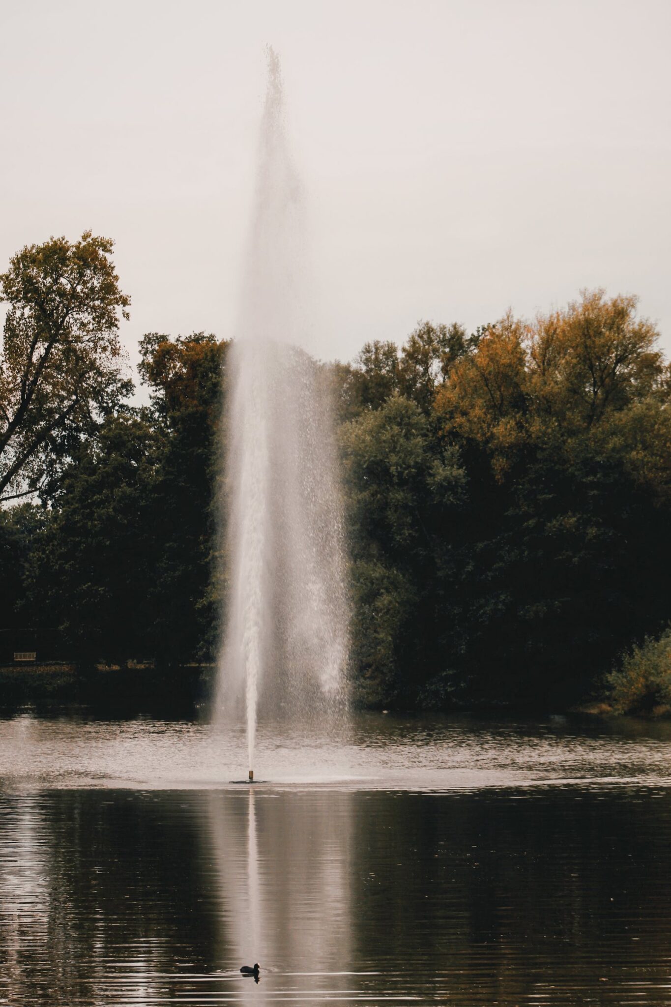 pexels-photo-3091602